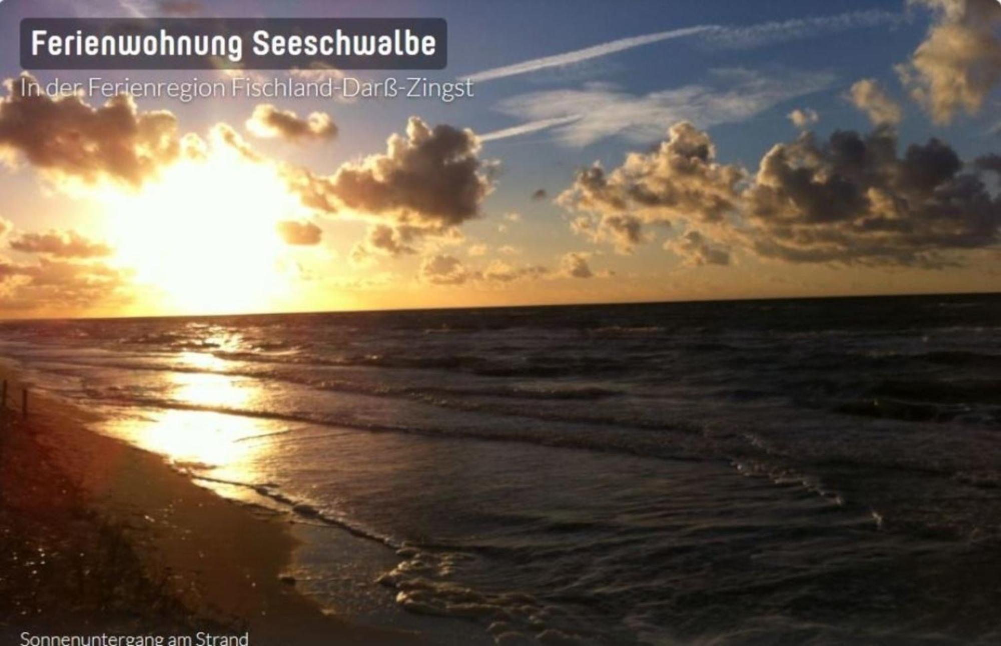 Seeschwalbe App 34 Neuhaus  Zewnętrze zdjęcie